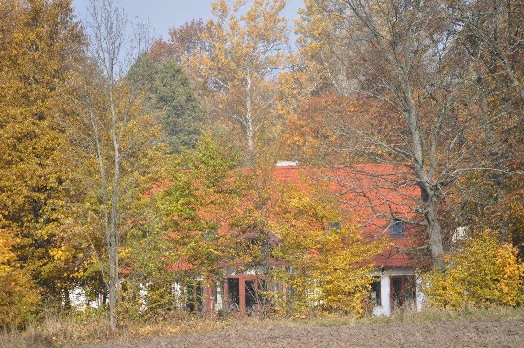 Poza Zgielkiem Villa Wegorzewo Exterior photo